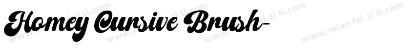 Homey Cursive Brush字体转换